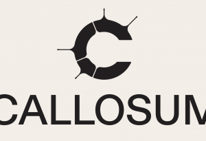 Callosum raises $100M seed round to build heterogeneous AI infrastructure